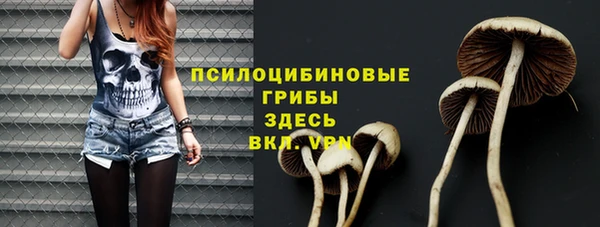 шишки Балахна