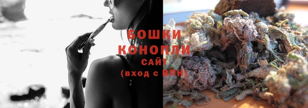 шишки Балахна