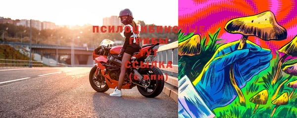шишки Балахна